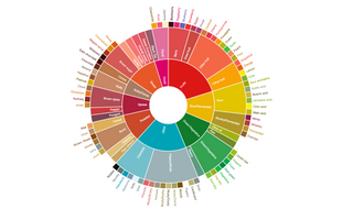 Découvrez les subtilités du café avec la Roue des Arômes