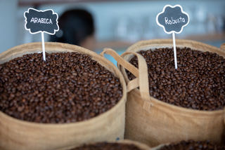 Arabica ou Robusta, quel est le meilleur café ?
