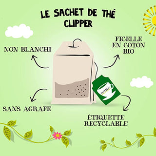 Thé Vert Menthe Marrakech BIO - CLIPPER®